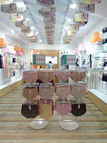 閨秘內衣品牌市場版圖持續擴張，山西再添新加盟店彰顯行業吸引力